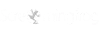 screaming-frog-logo